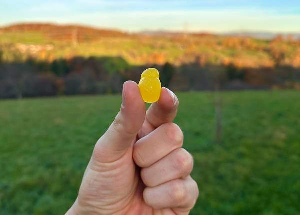 Das fehlende Puzzleteil